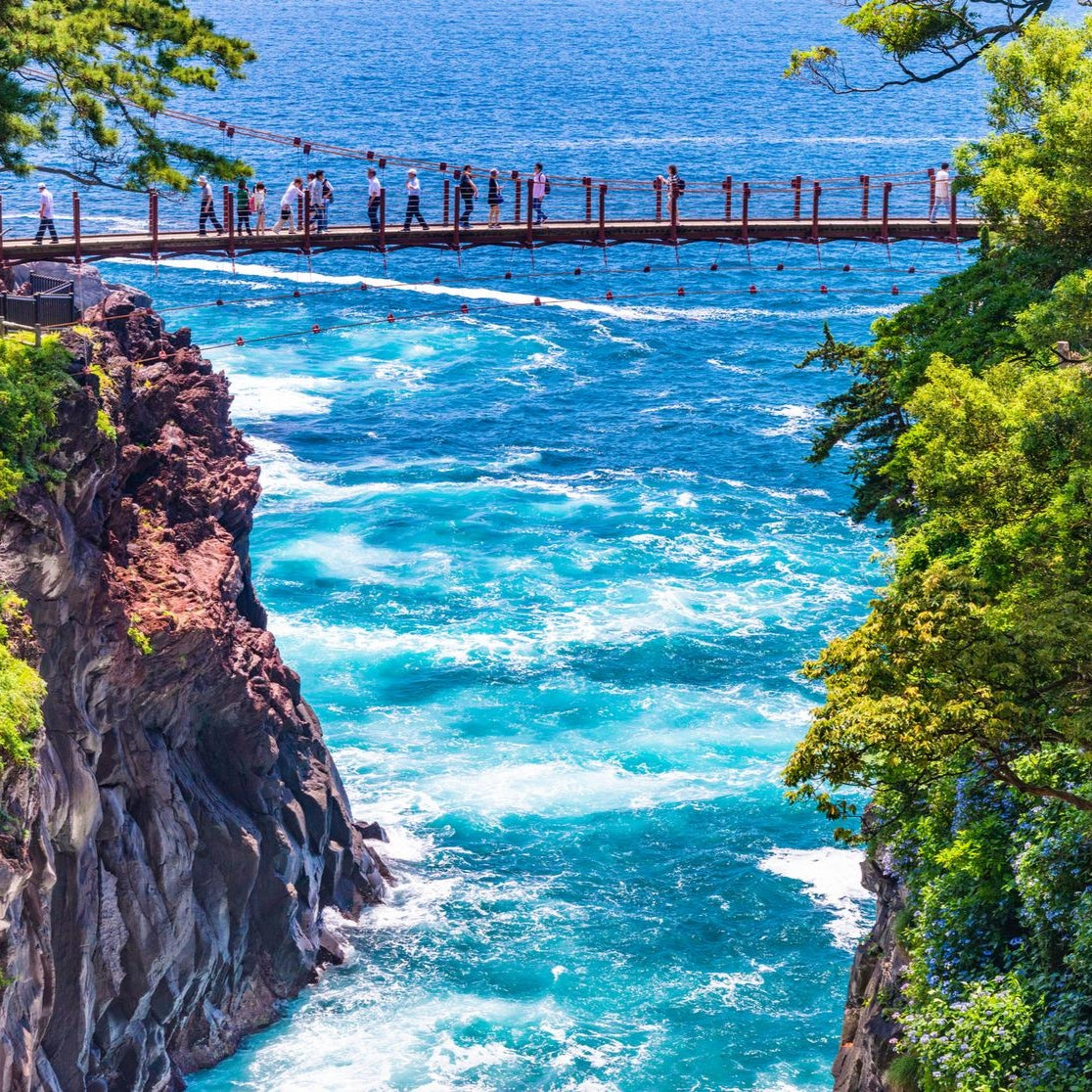 私家团｜伊豆治愈之旅 1日游