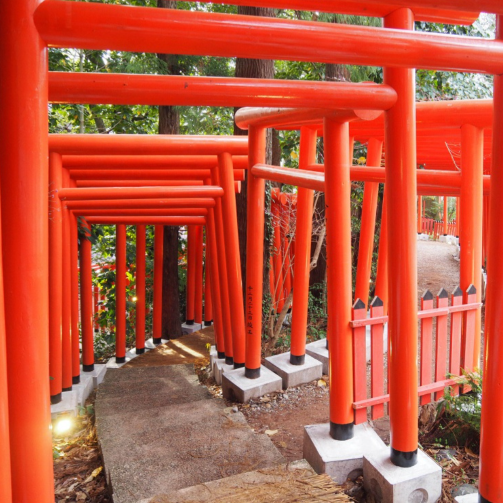 私家团｜金泽古城艺境巡游 1日游