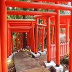 私家团｜金泽古城艺境巡游 1日游