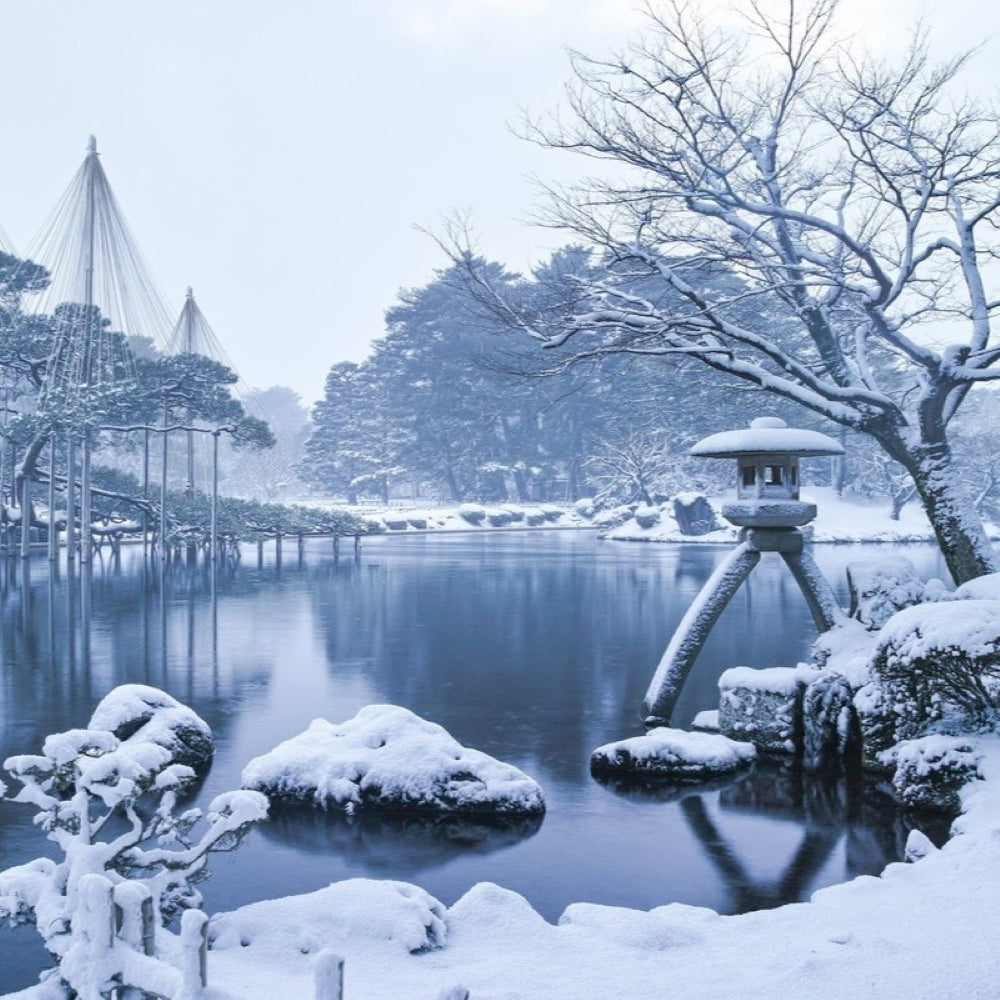 私家团｜金泽古城艺境巡游 1日游