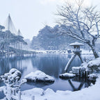 私家团｜金泽古城艺境巡游 1日游