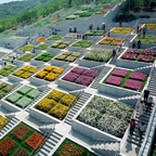 私家团｜淡路岛&鸣门旋涡1日游