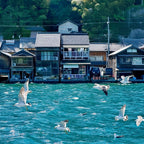 私家团｜伊根-天桥立-美山町秘境治愈1日游