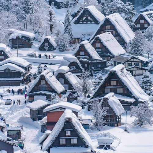 私家团｜世界遗产白川乡&高山 1日游