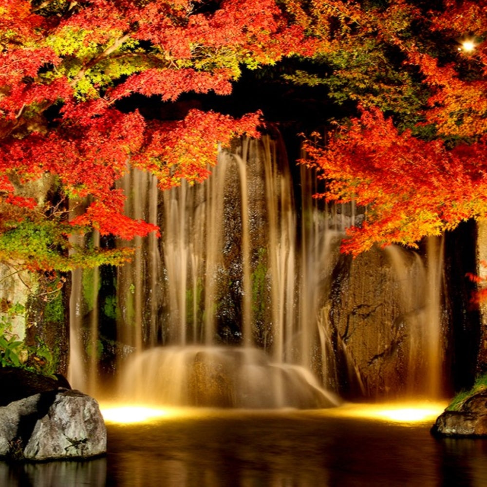 私家团｜国宝姬路城&有马温泉 1日游