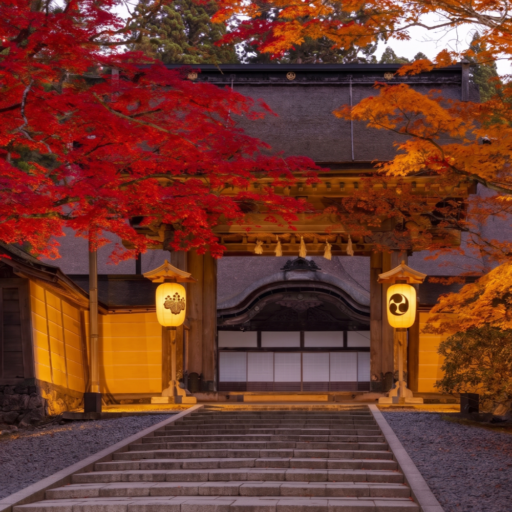 私家团｜高野山圣域巡礼 1日游