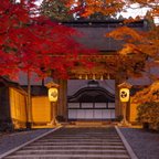 私家团｜高野山圣域巡礼 1日游