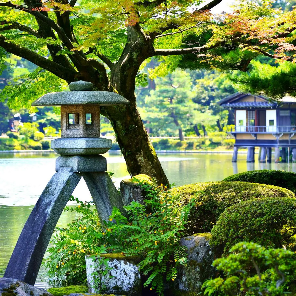 私家团｜金泽古城艺境巡游 1日游