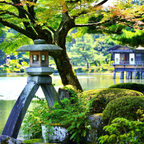 私家团｜金泽古城艺境巡游 1日游