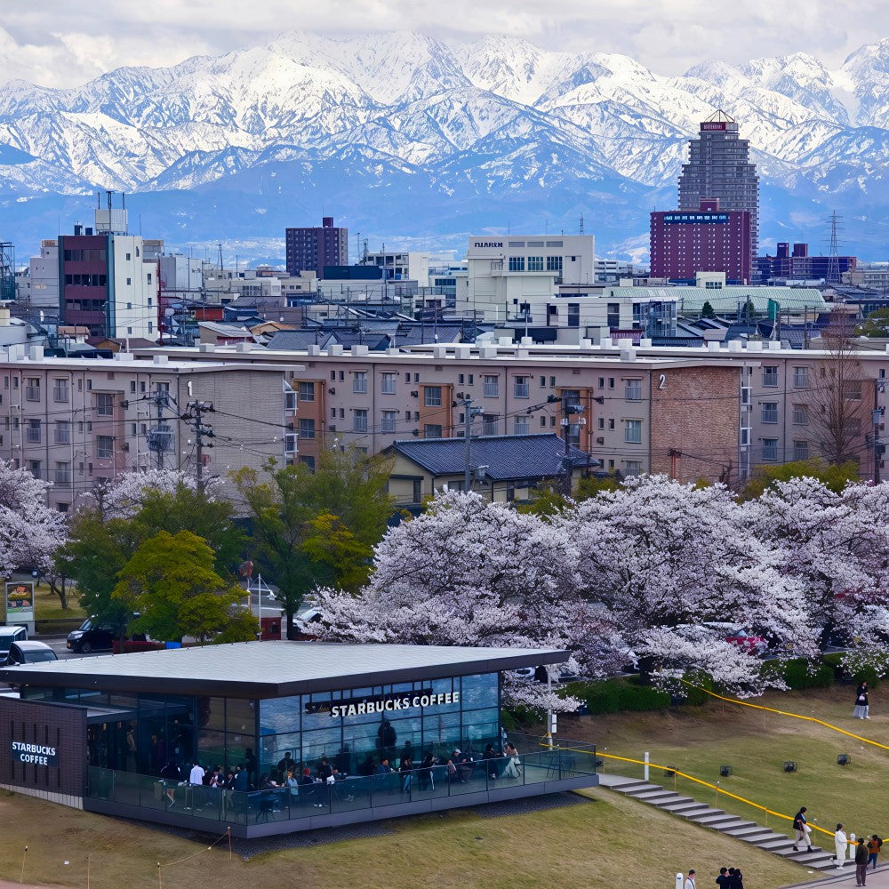 私家团｜富山秘境文艺打卡 1日游