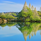 私家团｜金泽古城艺境巡游 1日游