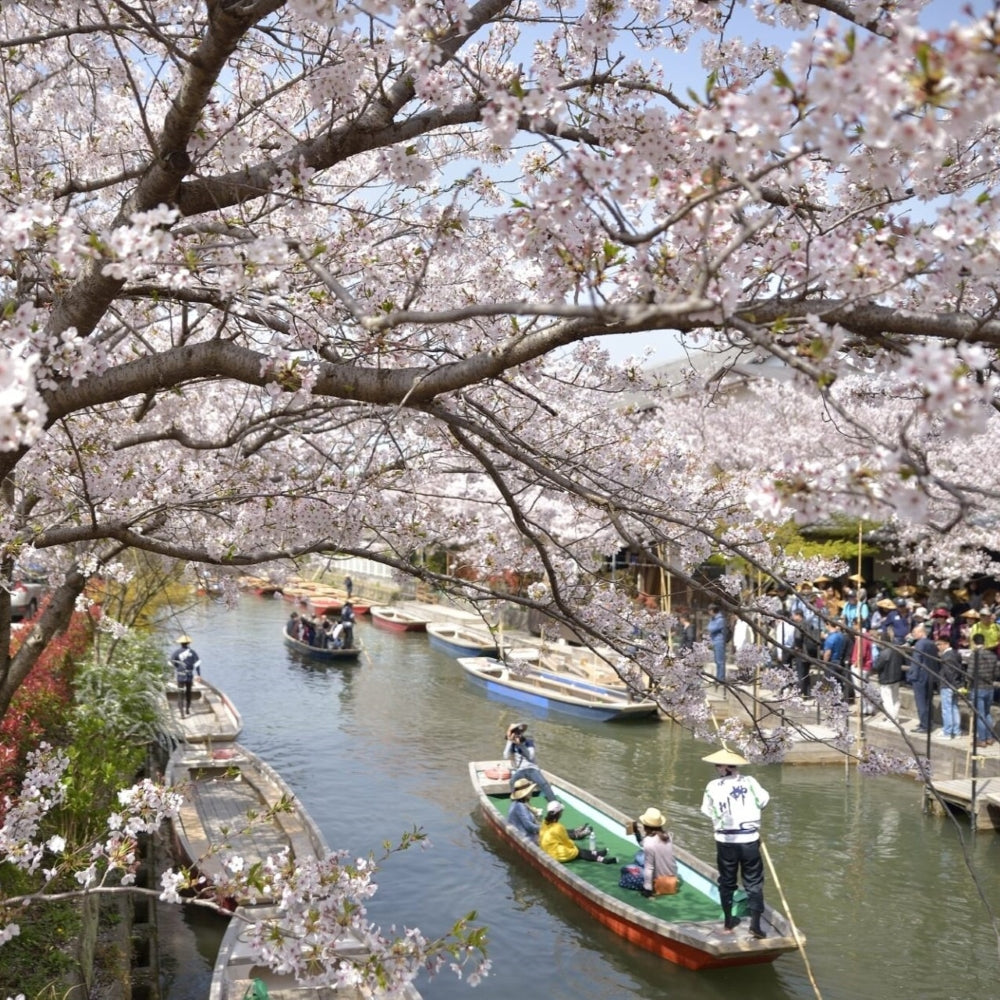 私家团｜糸岛海岸与太宰府·柳川之旅1日游