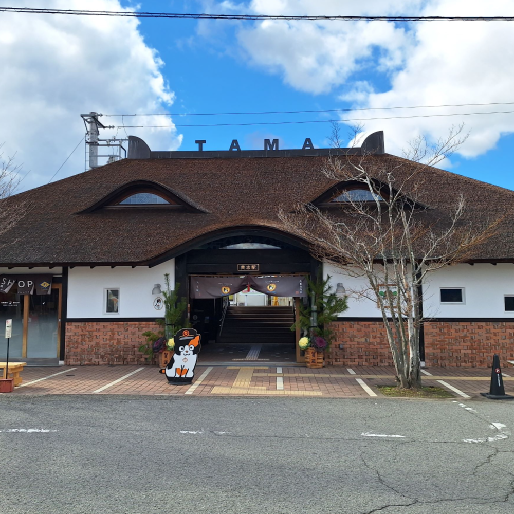 私家团｜和歌山-白浜山海人文 1日游