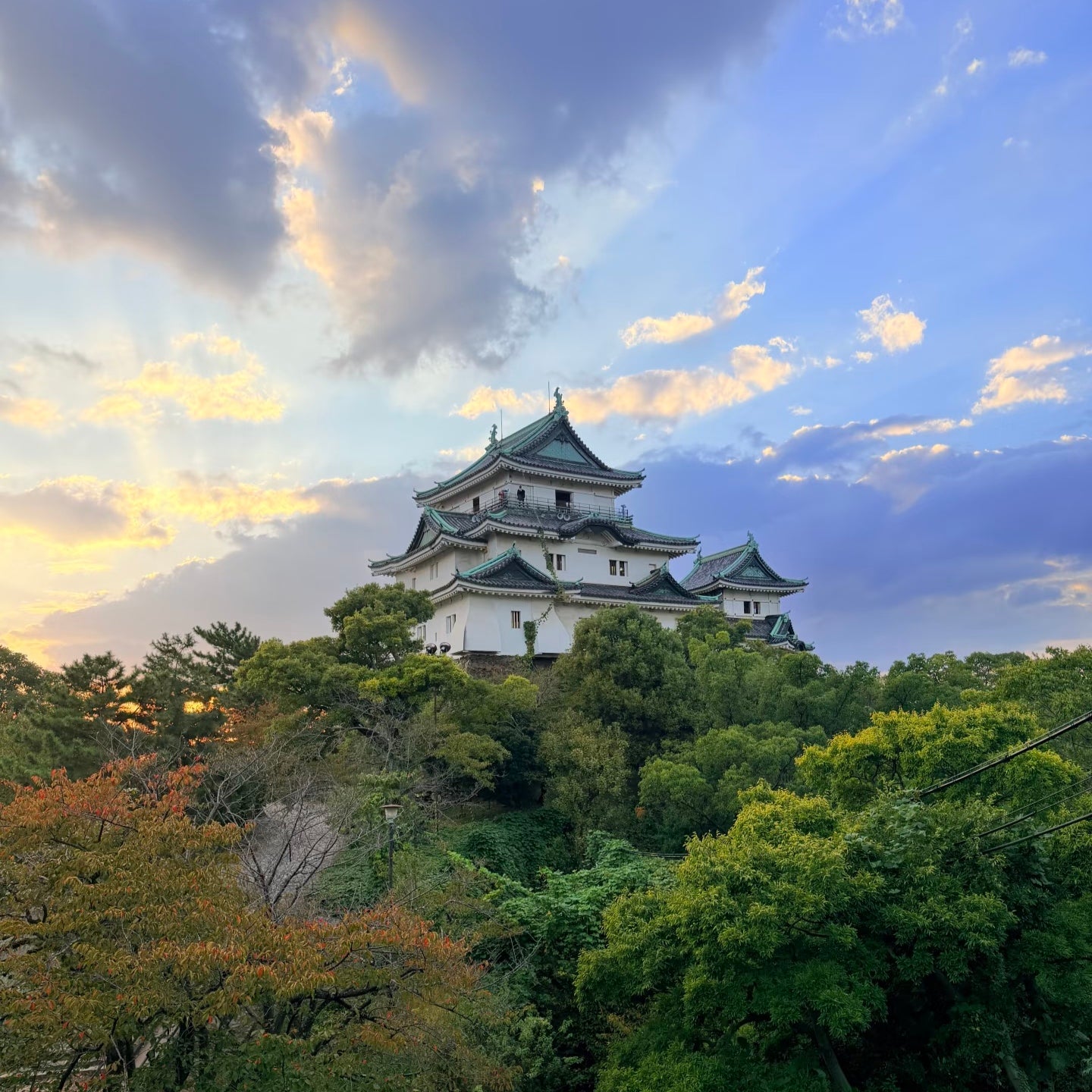 私家团｜和歌山-白浜山海人文 1日游