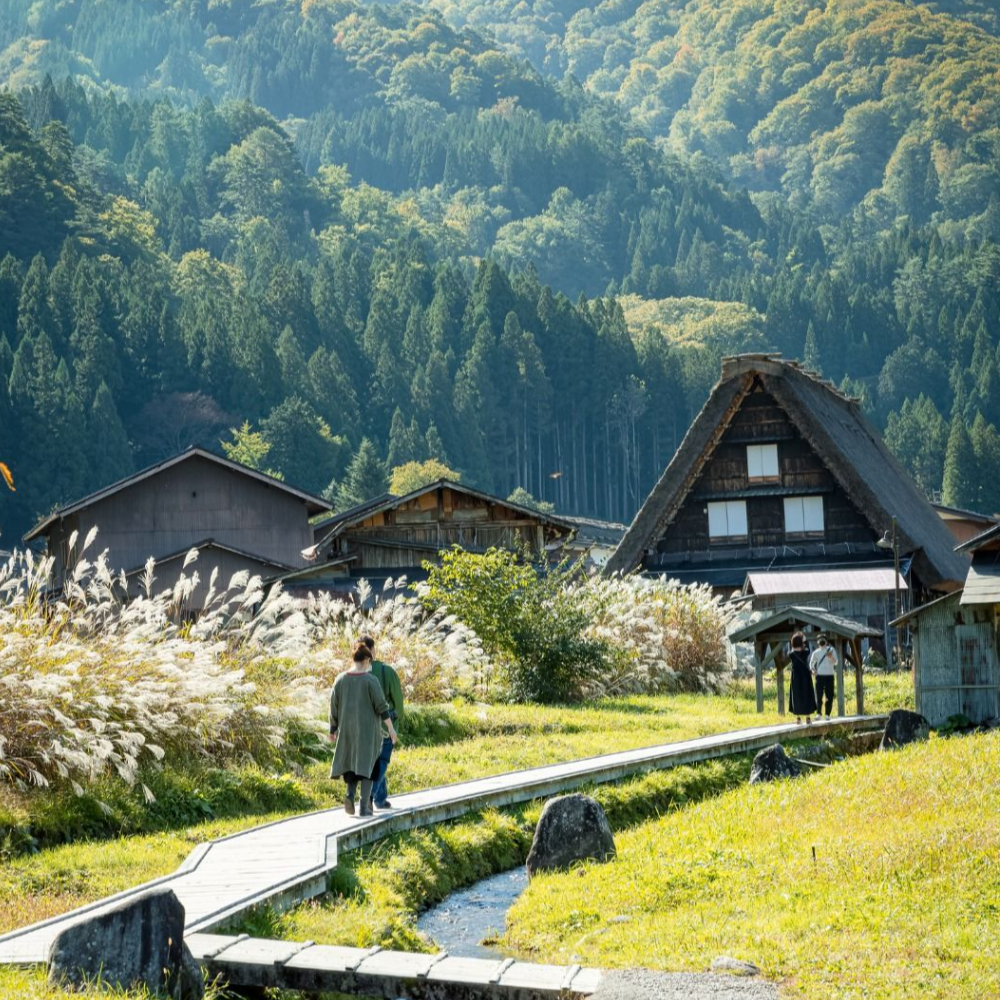 私家团｜世界遗产白川乡&高山 1日游