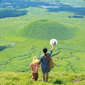 私家团｜ 熊本&阿苏火山秘境治愈1日游
