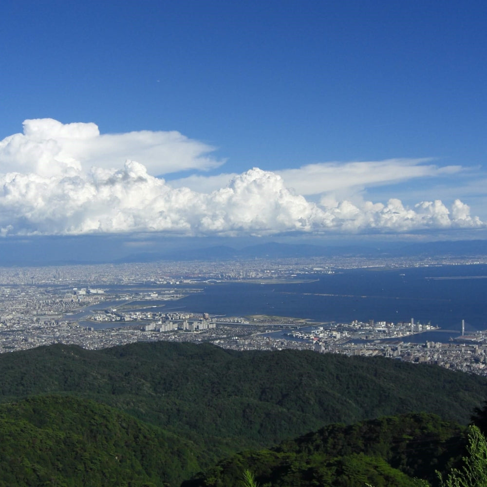 私家团｜国宝姬路城&有马温泉 1日游