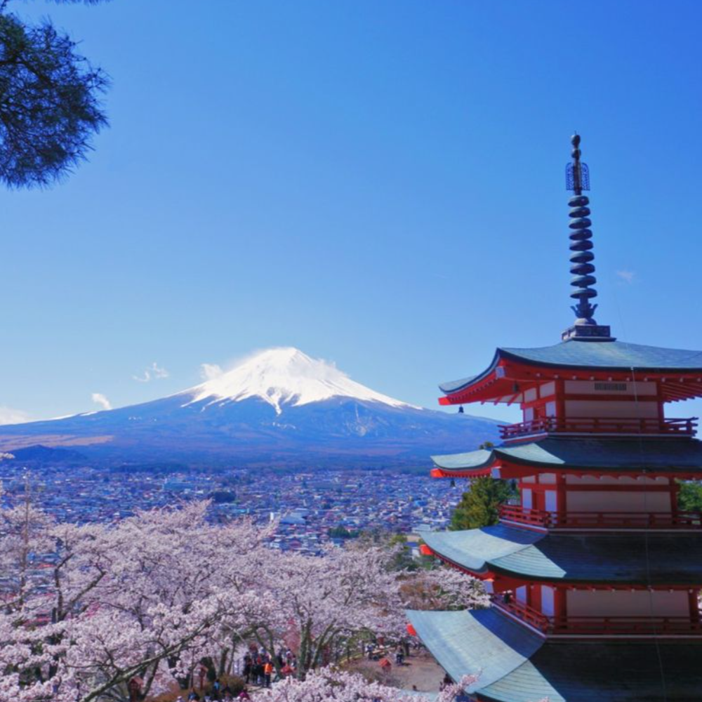 新仓山浅间神社
