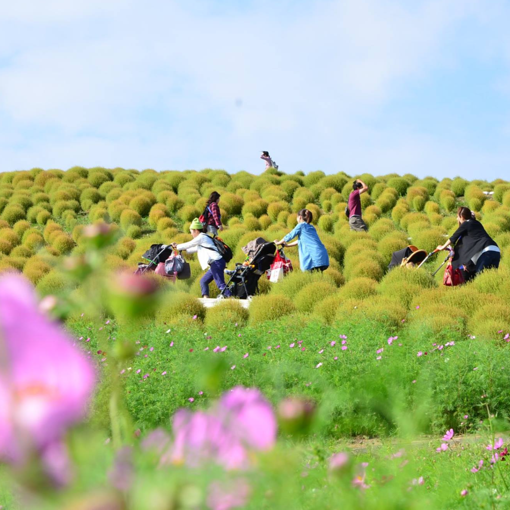 私家团｜茨城海岸风景1日游