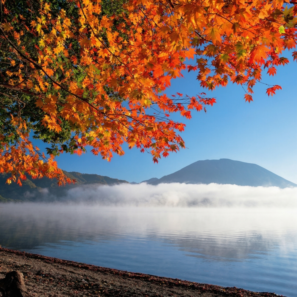 私家团｜日光秘境&华严瀑布 1日游