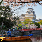 私家团｜国宝姬路城&有马温泉 1日游