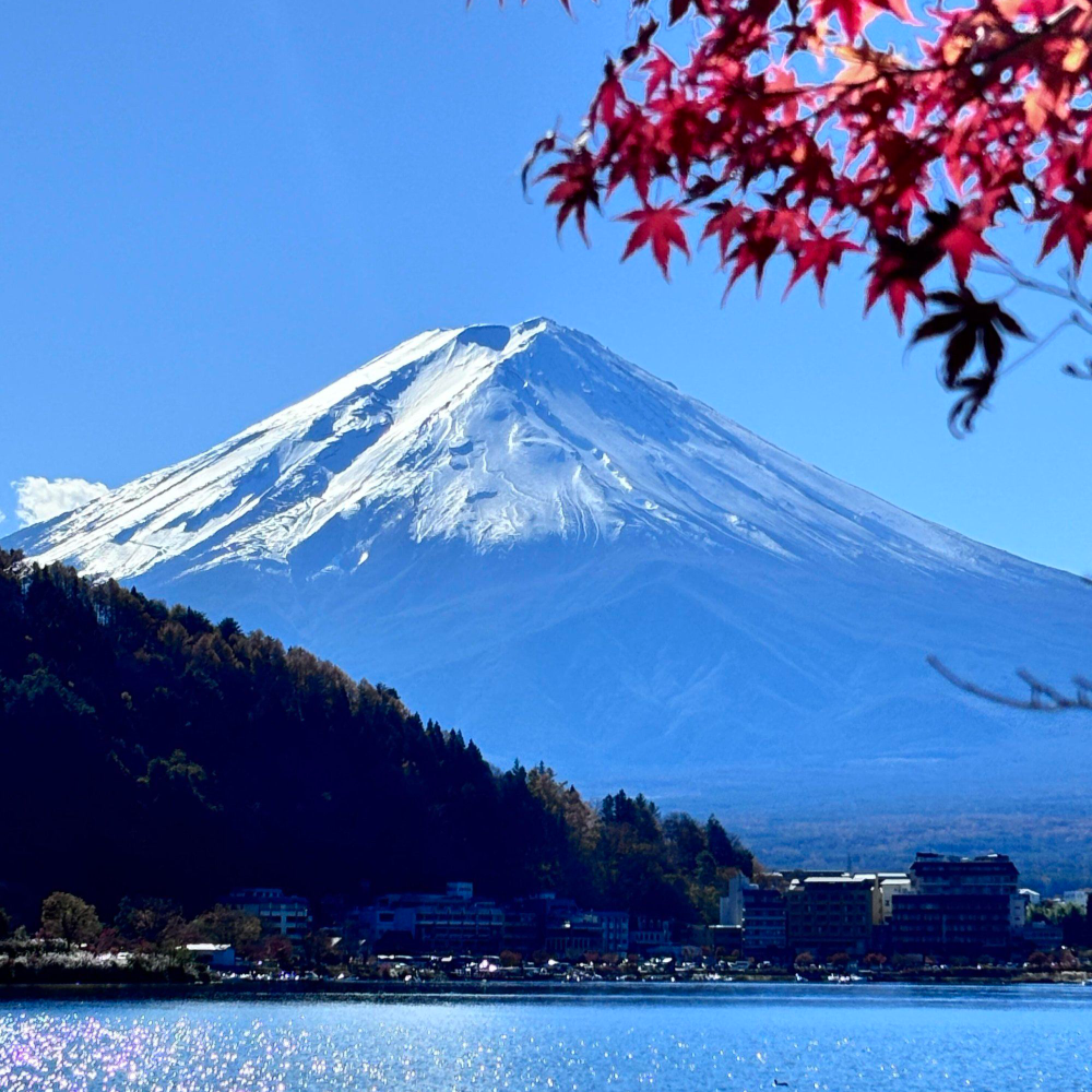 私家团｜经典富士山&音乐之森美术馆 1日游