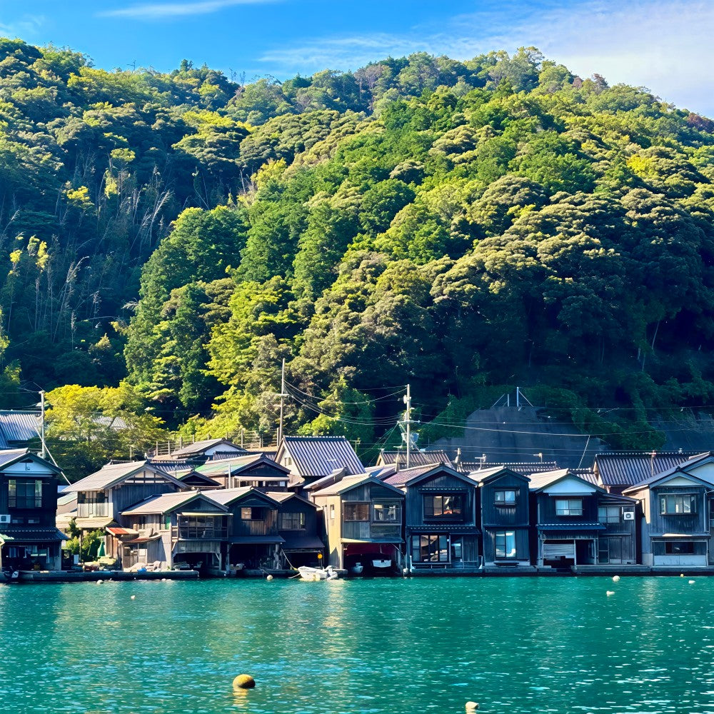 私家团｜伊根-天桥立-美山町秘境治愈1日游