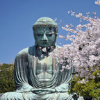 私家团｜镰仓湘南海岸 1日游