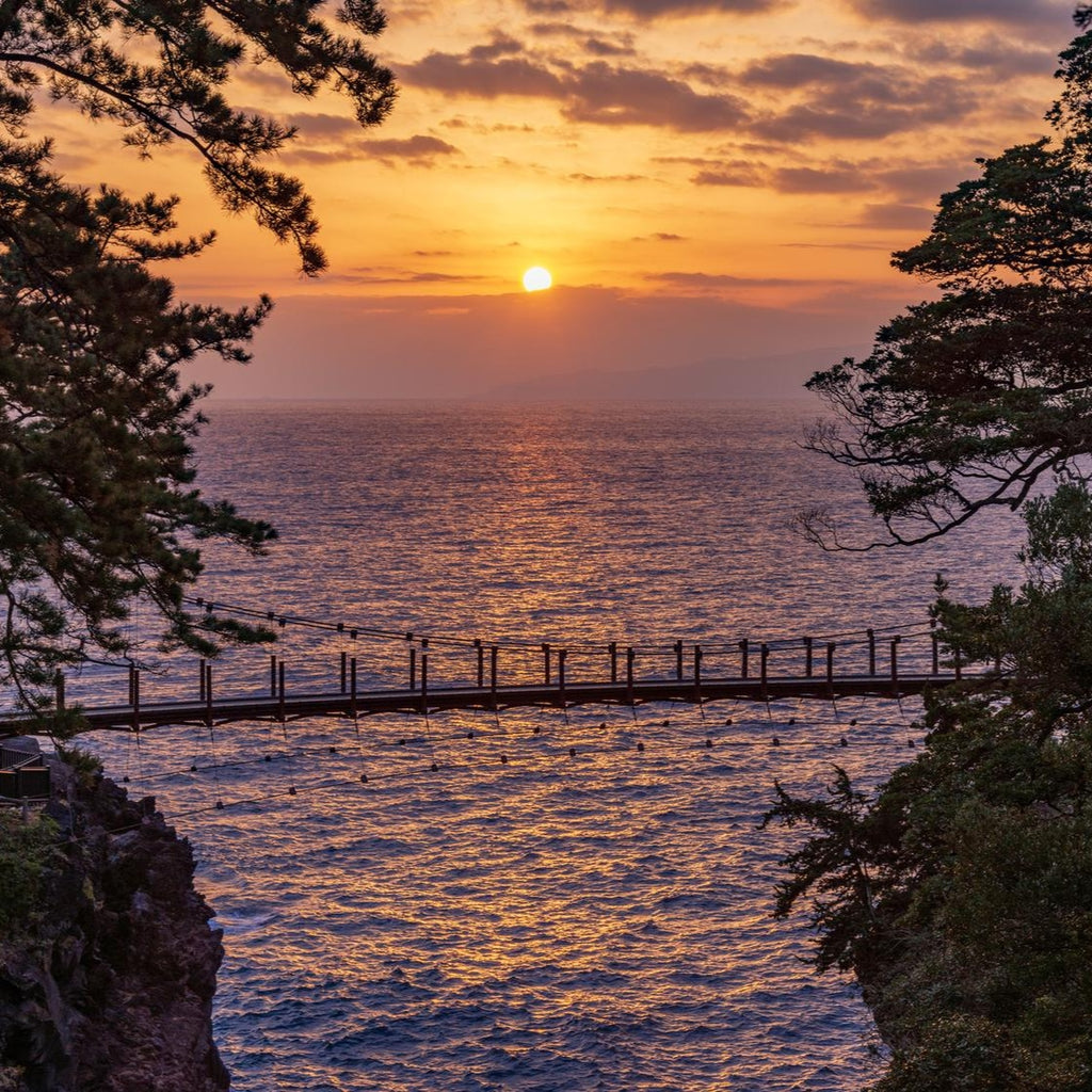 私家团｜伊豆治愈之旅 1日游