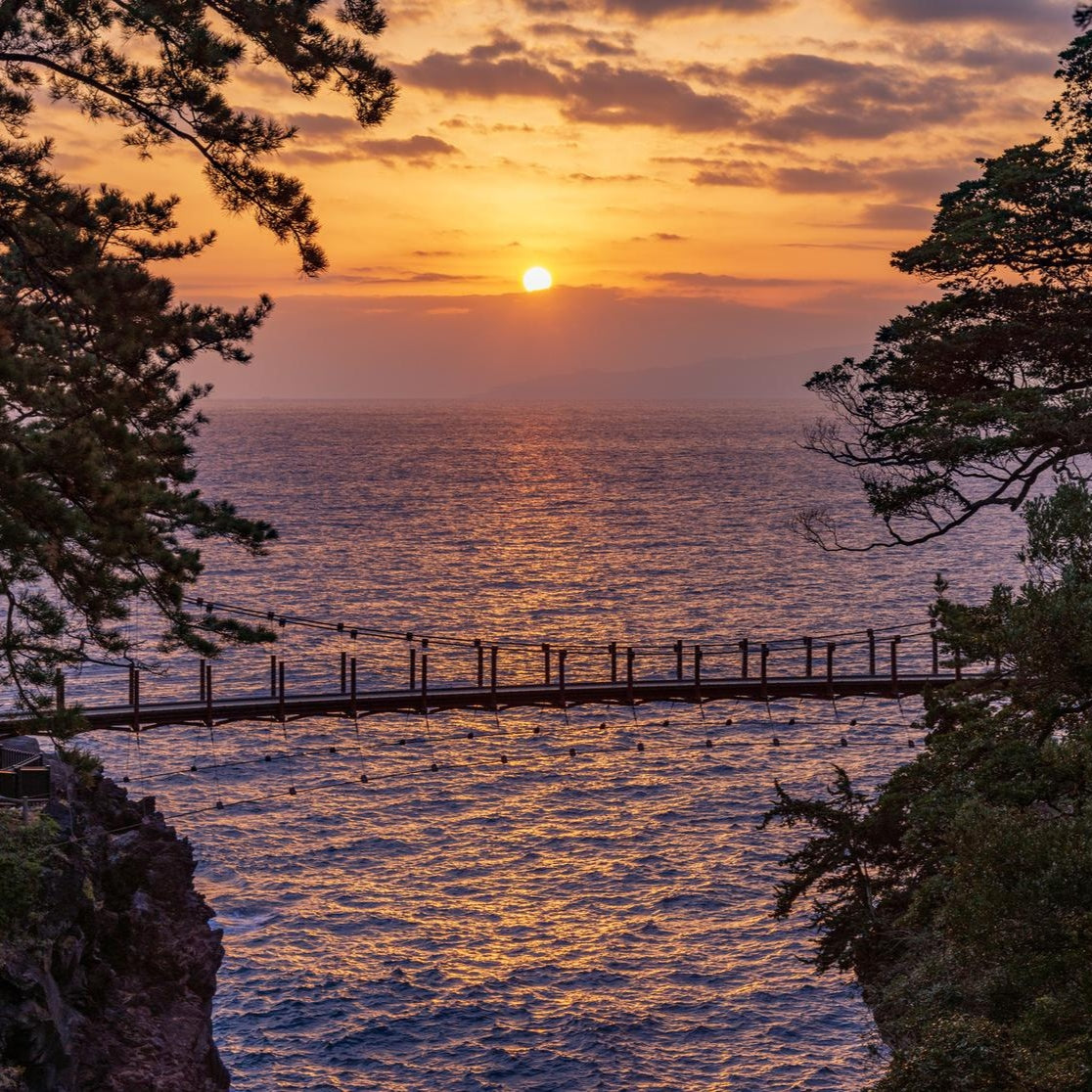 私家团｜伊豆治愈之旅 1日游
