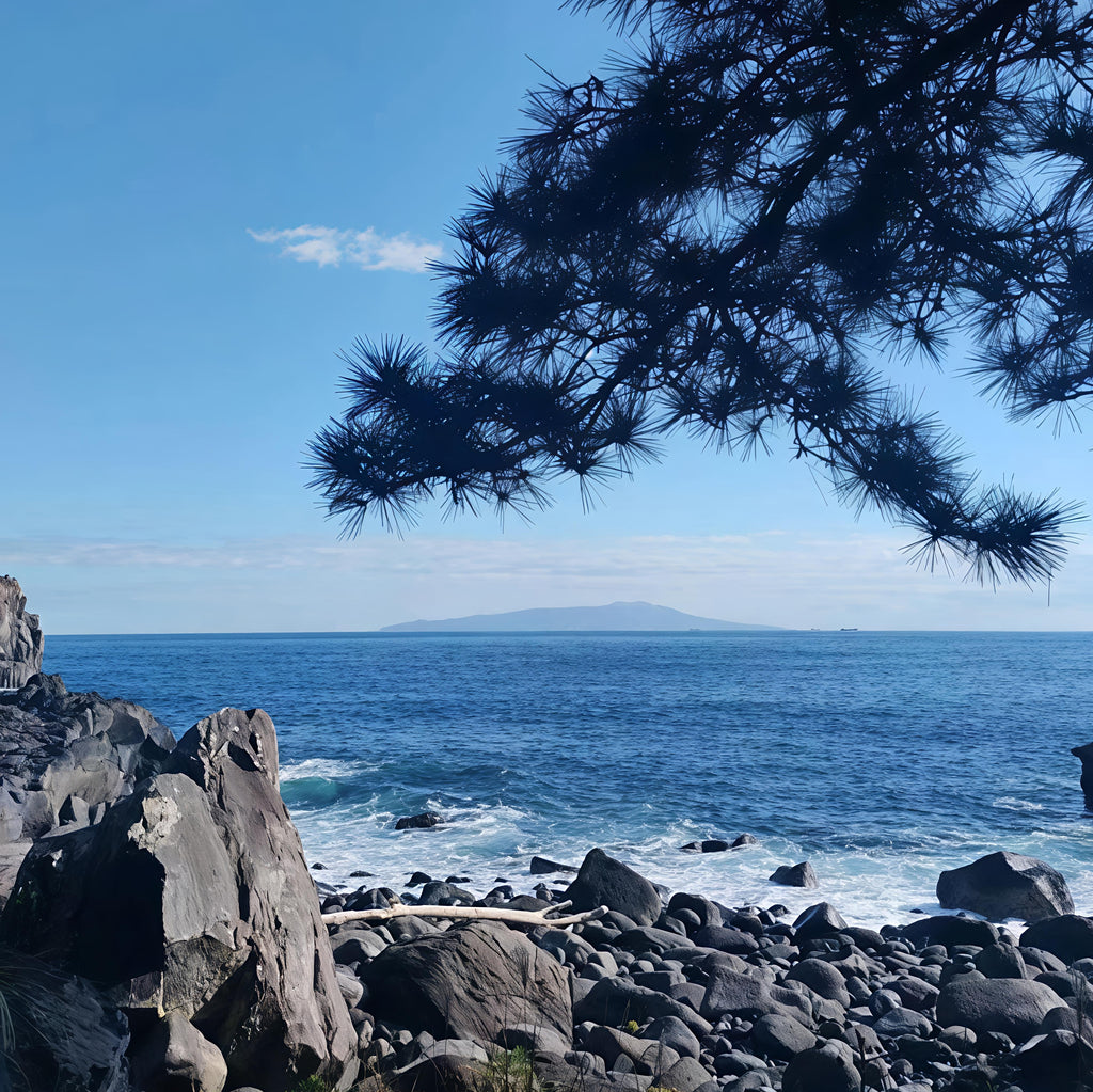 私家团｜伊豆治愈之旅 1日游