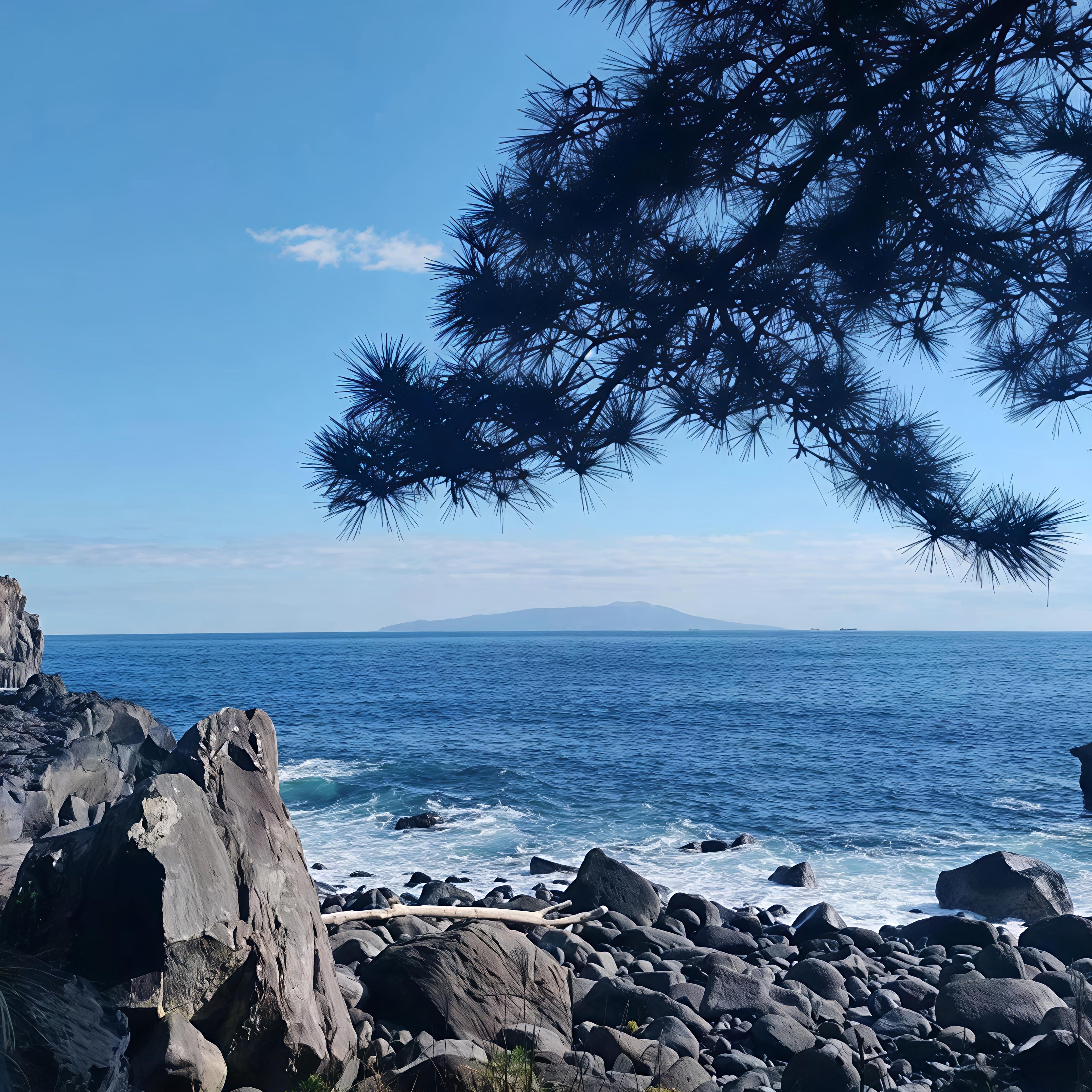 私家团｜伊豆治愈之旅 1日游