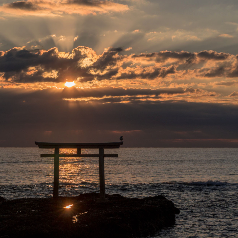 私家团｜茨城海岸风景1日游