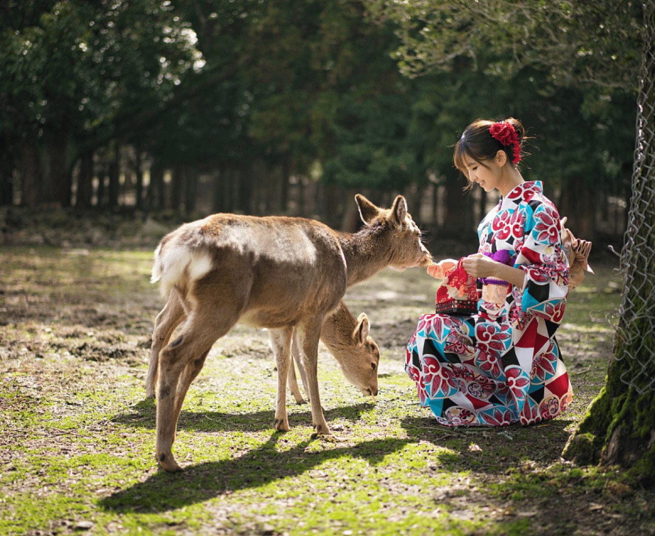 Osaka · Kyoto · Nara