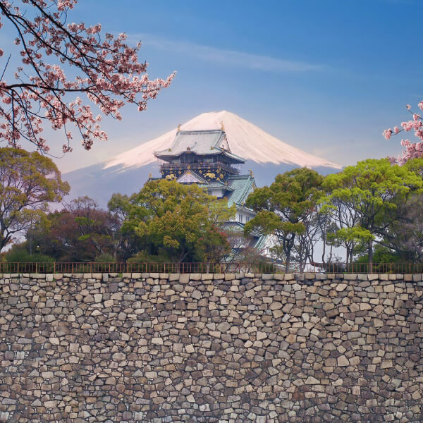 Hachi Japan Immersion Program