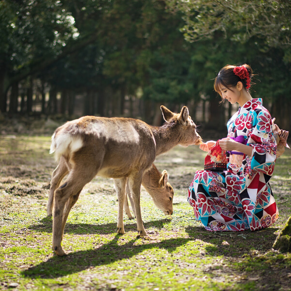 Hachi Japan Immersion Program
