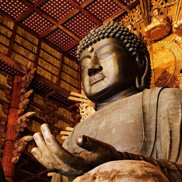 Hachi Japan Immersion Program