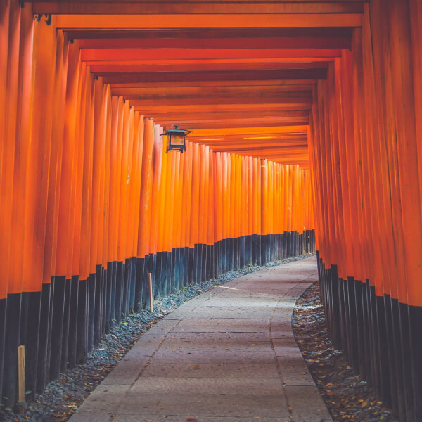 Hachi Japan Immersion Program