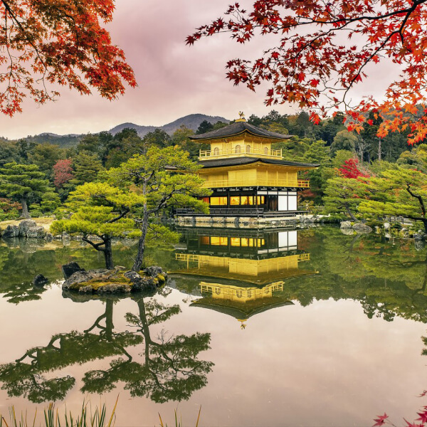 Hachi Japan Immersion Program