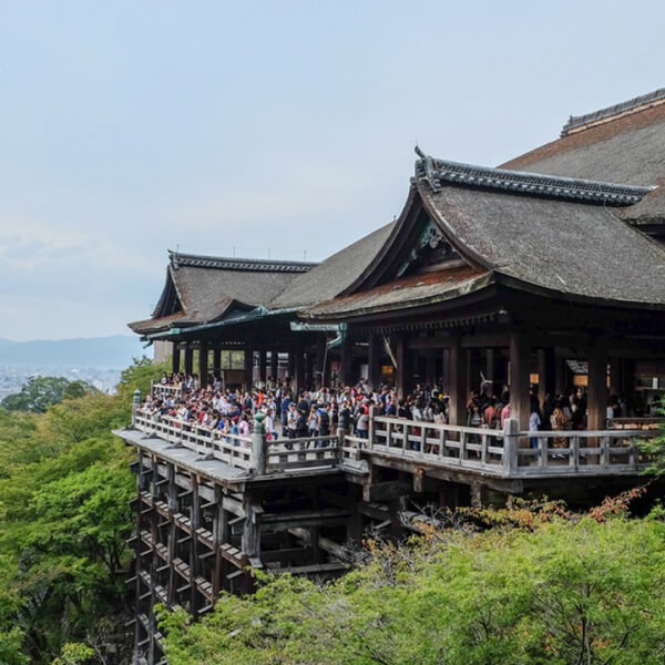 Hachi Japan Immersion Program