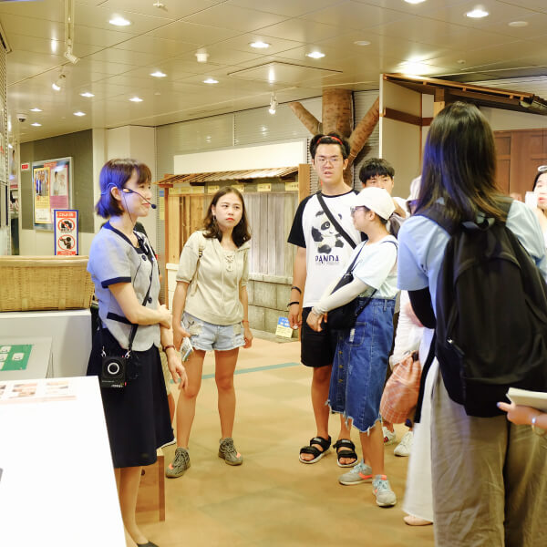 Hachi Japan Immersion Program