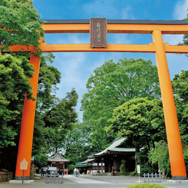 The Art of Wabi-Sabi