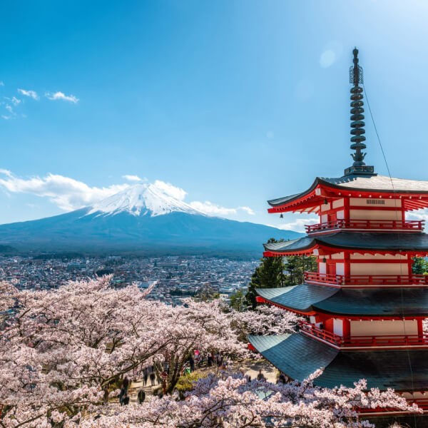 The Art of Wabi-Sabi