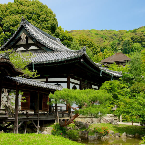 The Art of Wabi-Sabi