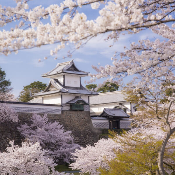 Crafted Japan